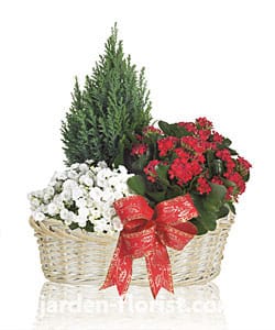 Жарден Флорист